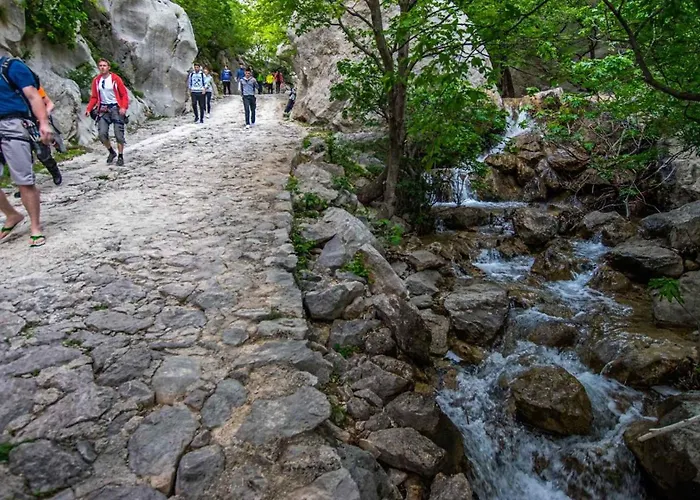 In - Paklenica Riviera 41711 *